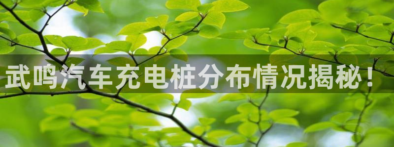 哪里买威廉希尔