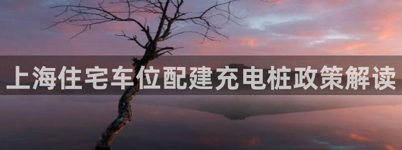 法乙威廉希尔初赔研究：上海住宅车位配建充电桩政策解读