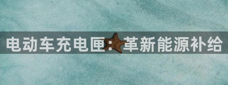 威廉官网2023澳门马开奖查询入口：电动车充电匣：革新能源补给