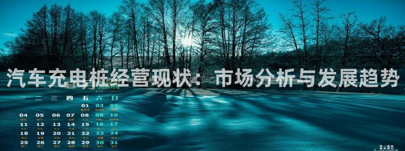 威廉体育官方：汽车充电桩经营现状：市场分析与发展趋势