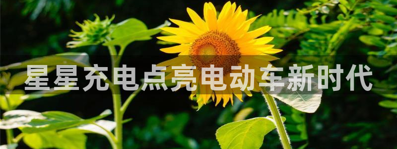 威廉娱乐2023官方版-3.26 Inurl:fayunsi