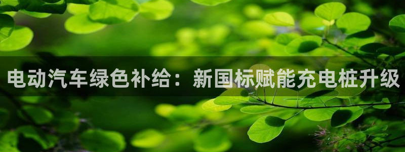 威廉希尔篮球看盘思路：电动汽车绿色补给：新国标赋能充电桩升级