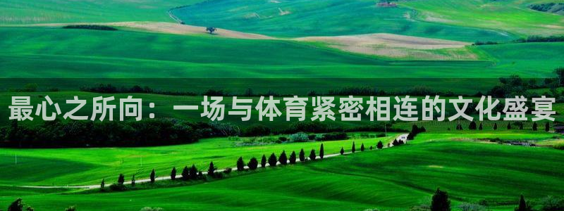 哈哈体育十年：最心之所向：一场与体育紧密相连的文化盛宴