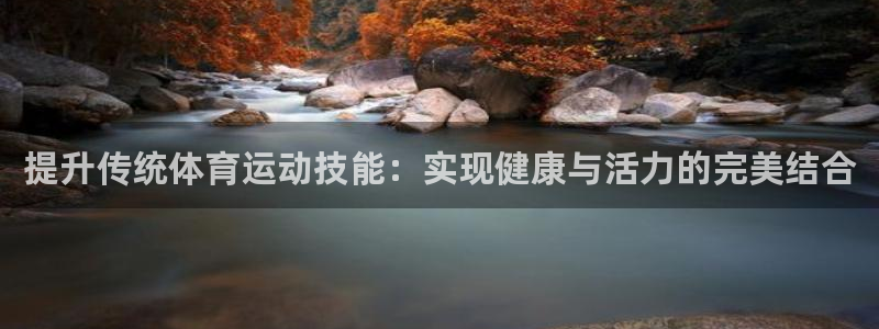 哈哈体育十年：提升传统体育运动技能：实现健康与活力的完美结合