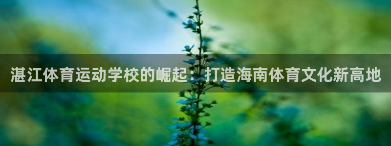 哈哈体育：湛江体育运动学校的崛起：打造海南体育文化新高地