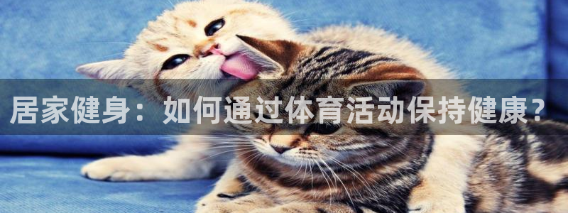 哈哈体育下载：居家健身：如何通过体育活动保持健康？