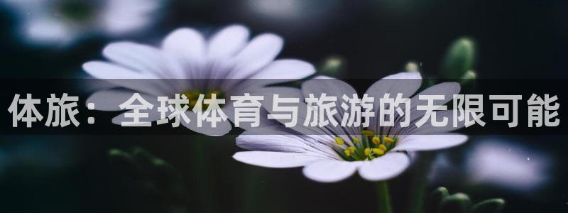 哈哈体育：体旅：全球体育与旅游的无限可能