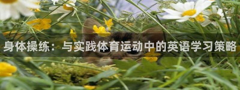 哈哈体育十年：身体操练：与实践体育运动中的英语学习策略