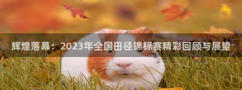 哈哈体育：辉煌落幕：2023年全国田径锦标赛精彩回顾与展望