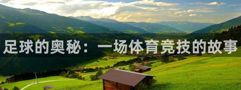 哈哈体育下载：足球的奥秘：一场体育竞技的故事