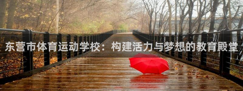 哈哈体育：东营市体育运动学校：构建活力与梦想的教育殿堂